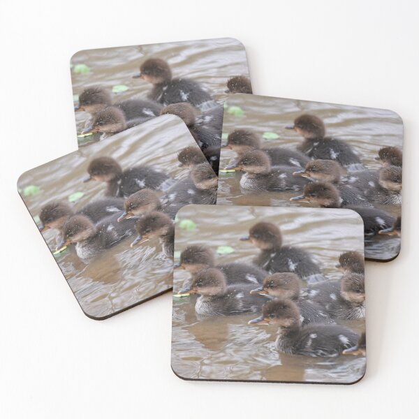 Item preview, Hooded Merganser Ducklings Photo designed and sold by LauraWolfArtist.