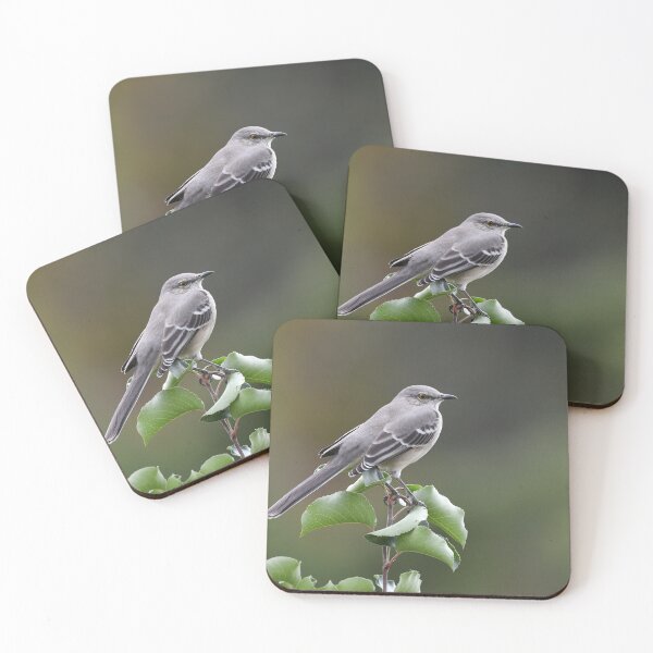 Item preview, Northern Mockingbird Photo designed and sold by LauraWolfArtist.