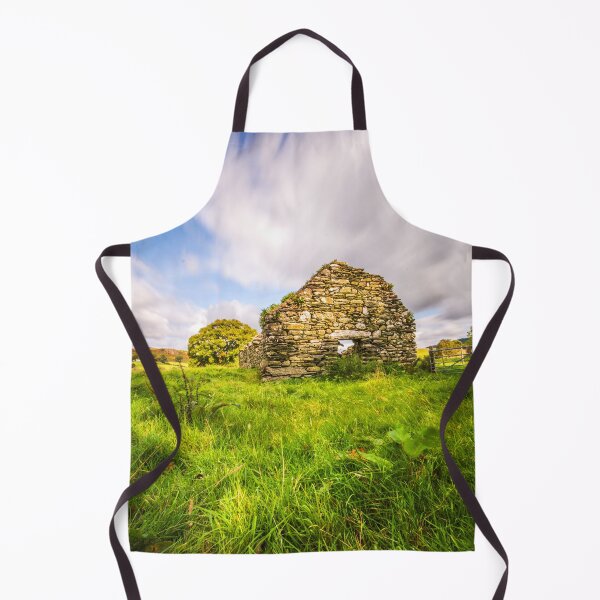 Item preview, Old Barn Ruin designed and sold by LluniauDafyddEm.