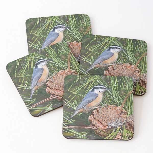 Item preview, Red-breasted Nuthatch Photo designed and sold by LauraWolfArtist.