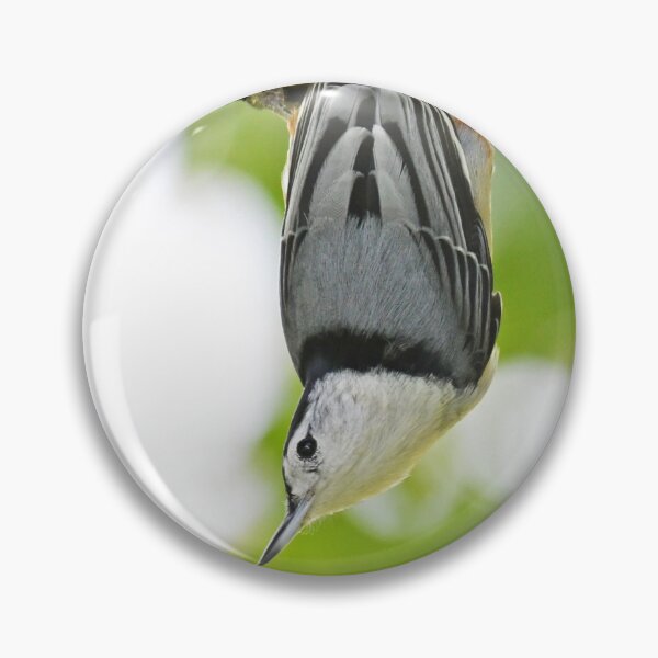 Item preview, White-breasted Nuthatch Photo designed and sold by LauraWolfArtist.