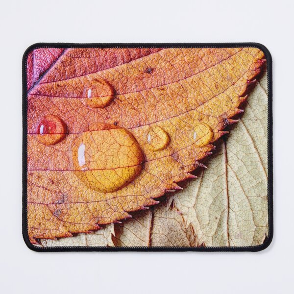 Item preview, Autumn leaves 05 designed and sold by Weston Westmoreland.