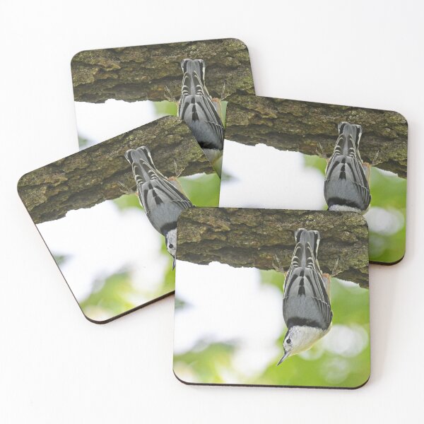 Item preview, White-breasted Nuthatch Photo designed and sold by LauraWolfArtist.