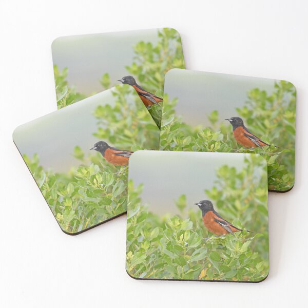 Item preview, Orchard Oriole Photo designed and sold by LauraWolfArtist.
