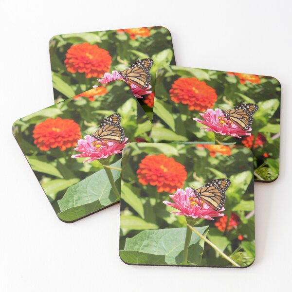Item preview, Monarch Butterfly on Common Zinnia designed and sold by DragonCGallery.