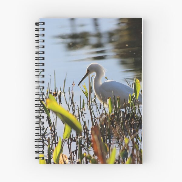 Item preview, A Green Winged Heron fishing designed and sold by SANDRA BROWN.