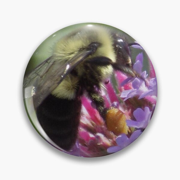 Item preview, Bumblebee on Butterfly Bush Close-Up designed and sold by DragonCGallery.