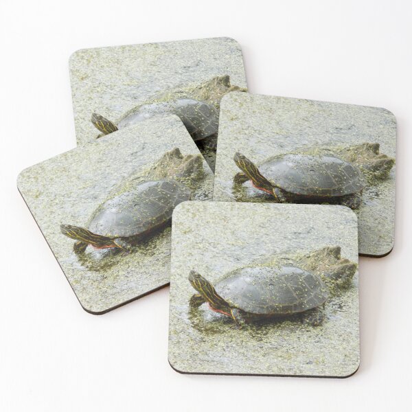 Item preview, Swampy Biome Painted Turtle designed and sold by DragonCGallery.