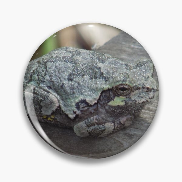 Item preview, Graytree Frog Female designed and sold by DragonCGallery.