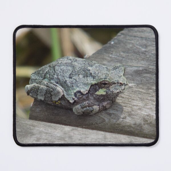 Item preview, Graytree Frog Female designed and sold by DragonCGallery.