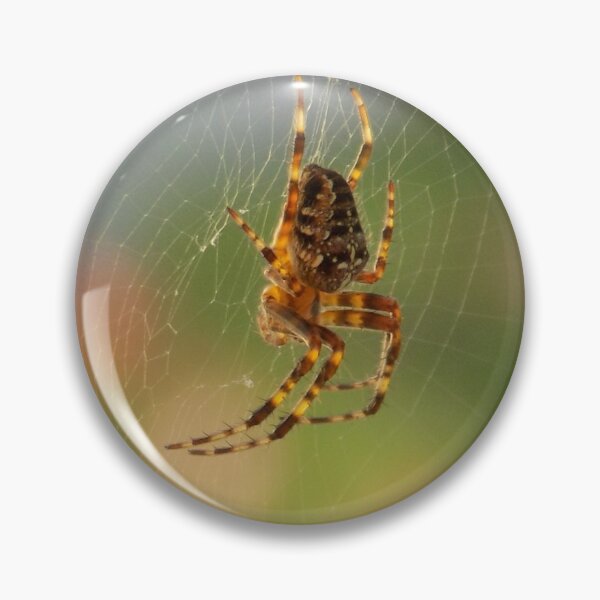 Artikelvorschau, Gekröntes Orbweaver-Weibchen entworfen und verkauft von DragonCGallery.