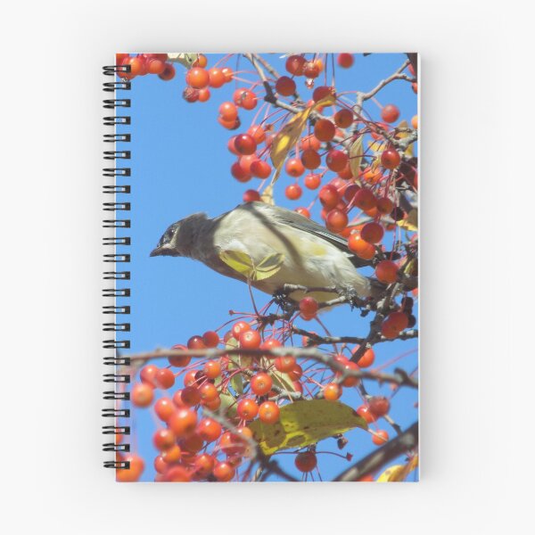 Item preview, Waxwing de sidra en Berry Tree designed and sold by DragonCGallery.
