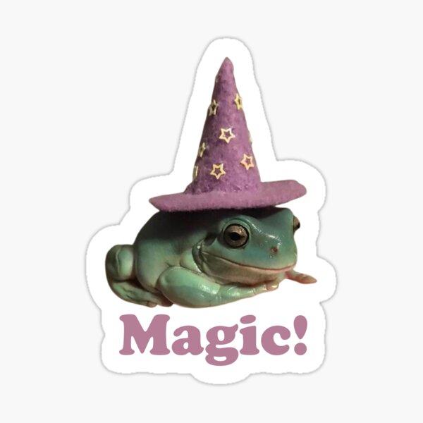 frog in a witch hat