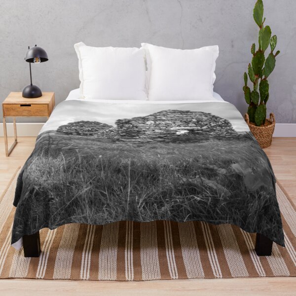 Item preview, Old Barn Ruin (B&W) designed and sold by LluniauDafyddEm.