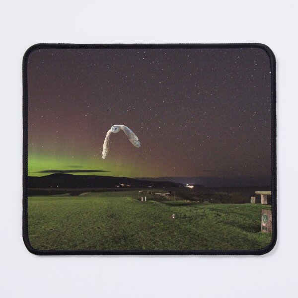 Item preview, Barn Owl at Brora Golf Course First Tee with Aurora Borealis  designed and sold by sandysshoots.