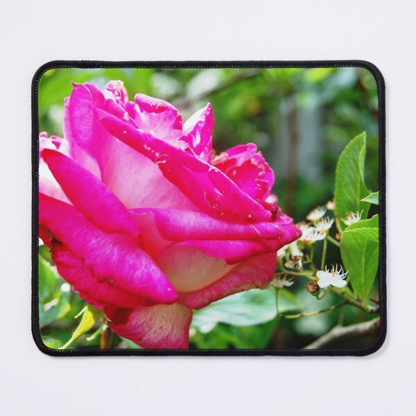 Item preview, Roses are Red .... designed and sold by ronsaunders47.