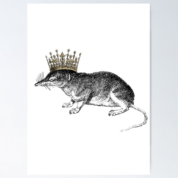 Rat King With Crown Coloring Page