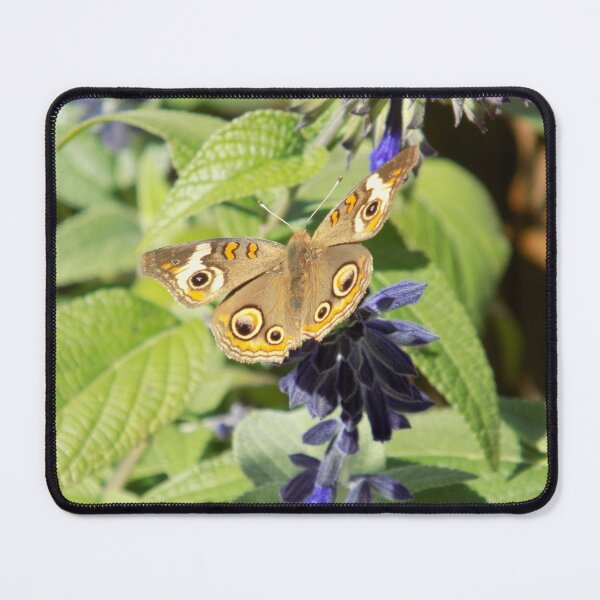 Item preview, Common Buckeye Butterfly designed and sold by DragonCGallery.