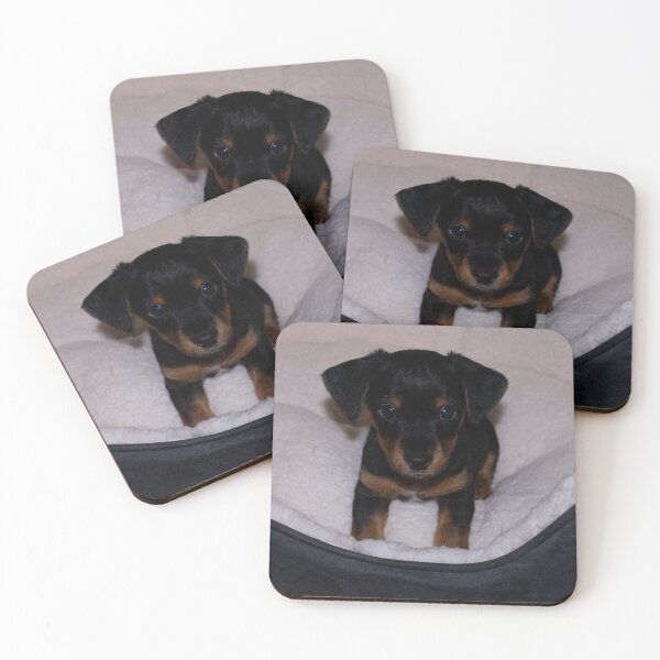 Item preview, Jack Russell Puppy designed and sold by GingerMan2550.