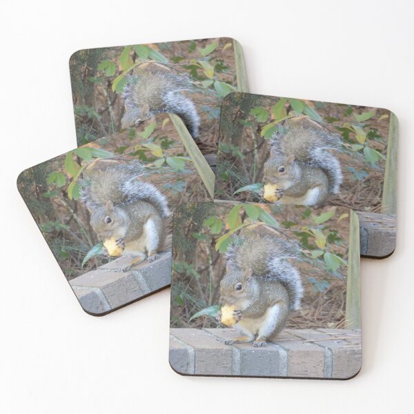 Item preview, Squirrel with a Tatertot designed and sold by DragonCGallery.