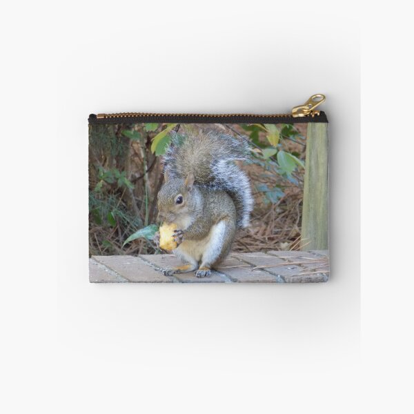 Item preview, Squirrel with a Tatertot designed and sold by DragonCGallery.