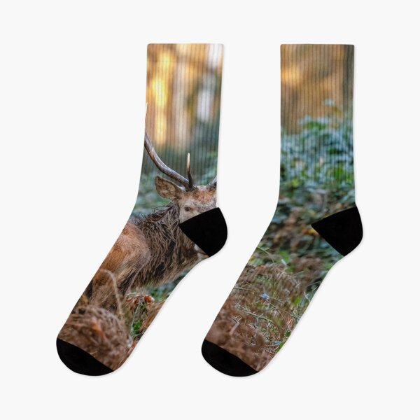 Item preview, Red Deer in Richmond Park designed and sold by Graham Prentice.