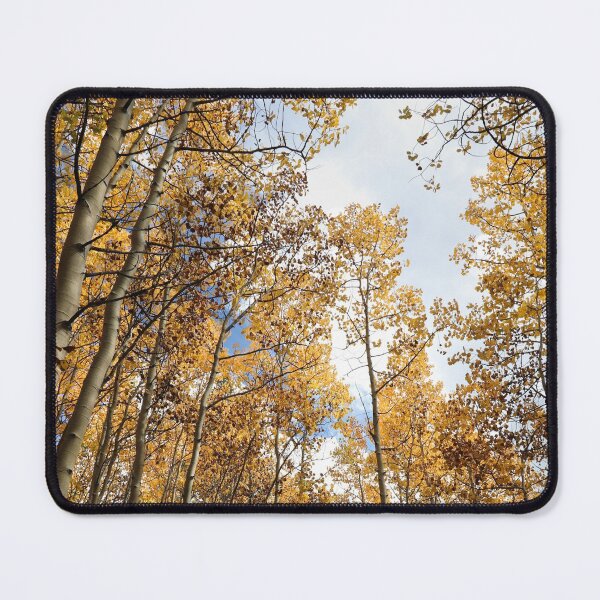 Item preview, Fall in Breckenridge, 2021 #7 designed and sold by Rachel Jeffrey.