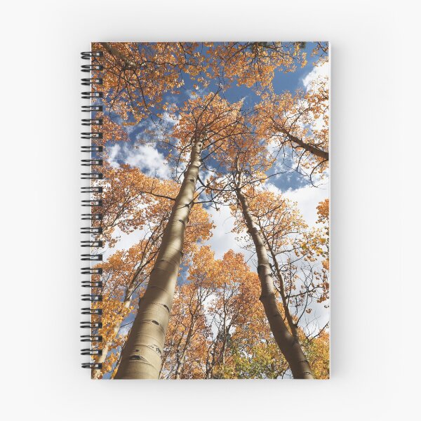 Item preview, Fall in Breckenridge, 2021 #8 designed and sold by Rachel Jeffrey.