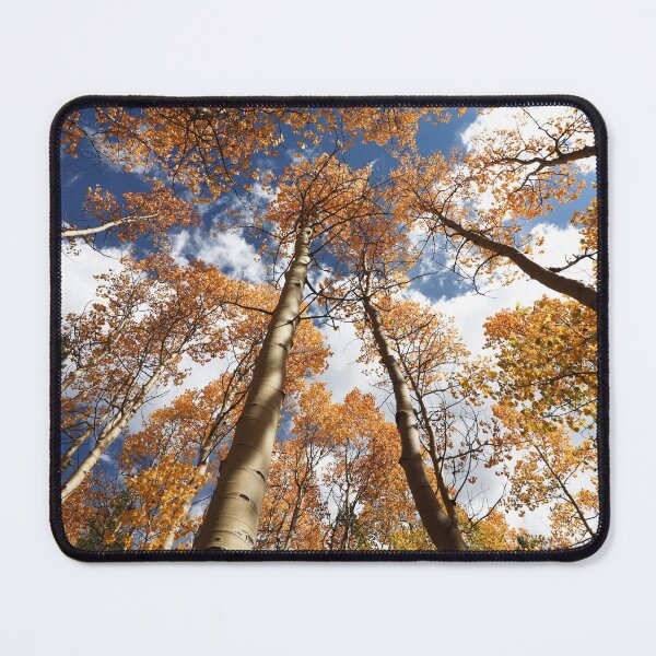 Item preview, Fall in Breckenridge, 2021 #8 designed and sold by Rachel Jeffrey.