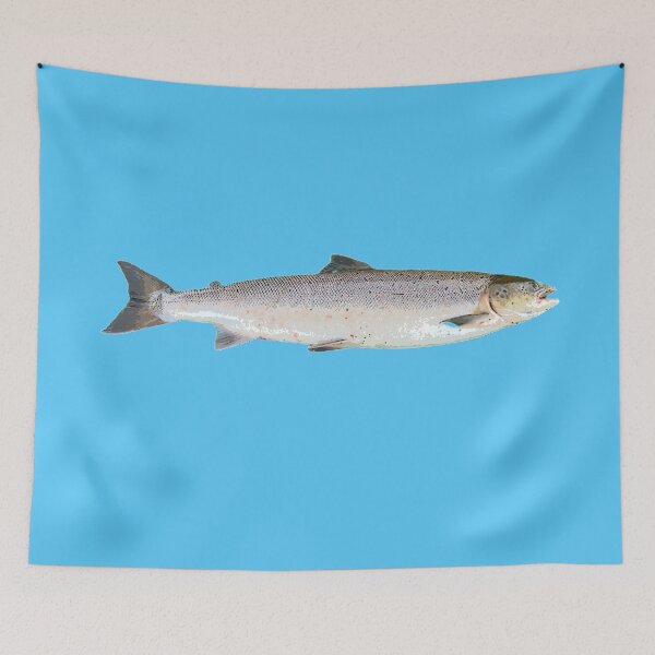 Item preview, Atlantic Salmon Color Design  designed and sold by designsasstultd.
