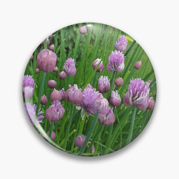 Item preview, Flowering Chive designed and sold by Megan-Alice.