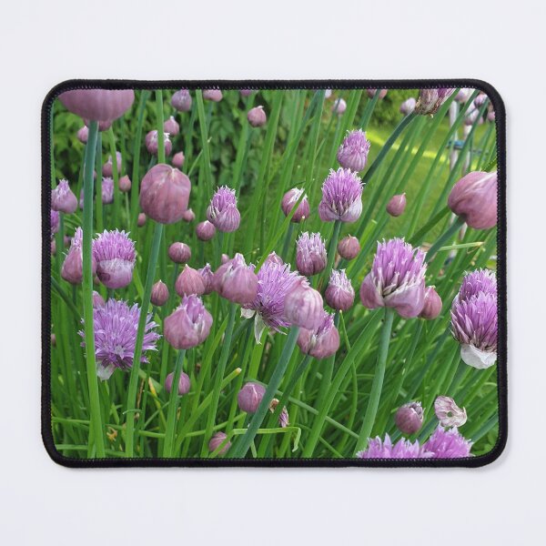 Item preview, Flowering Chive designed and sold by Megan-Alice.