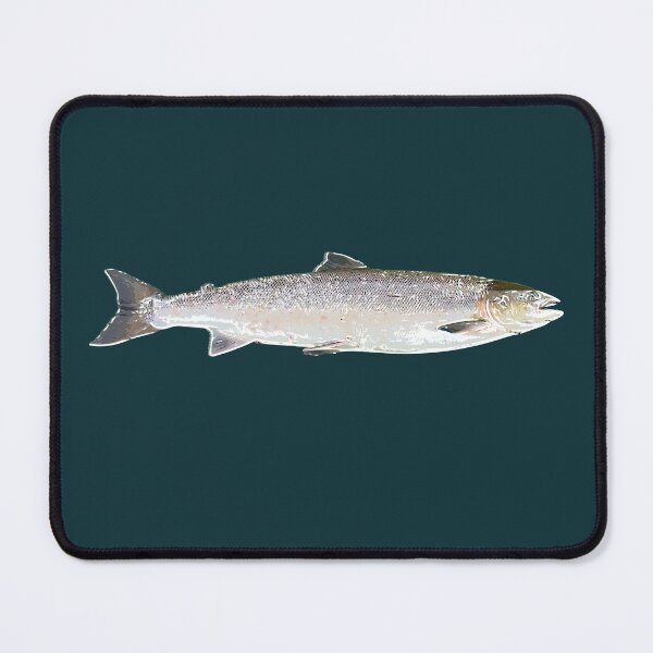 Item preview, Atlantic Salmon White Alternate Design  designed and sold by designsasstultd.