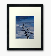Branch Manager Framed Print