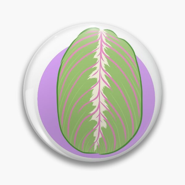 Item preview, Calathea de maranta roja designed and sold by Pagmakesthings.