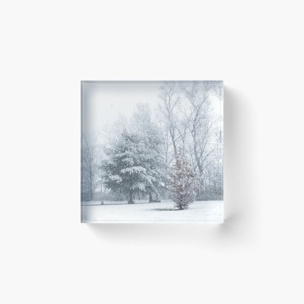 First Snow of the Season Acrylic Block