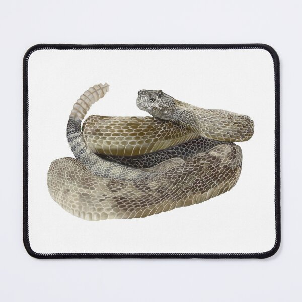 Item preview, Rattle Snake designed and sold by Wondersofwhimsy.