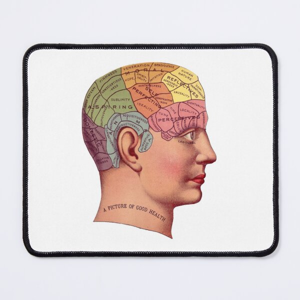 Item preview, Phrenology Head designed and sold by Phantastique Boutique.