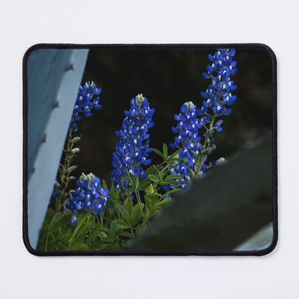 Item preview, Texas Bluebonnets 2 designed and sold by jonesing.