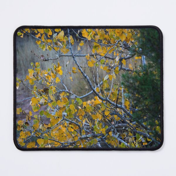 Item preview, Texas Fall designed and sold by jonesing.