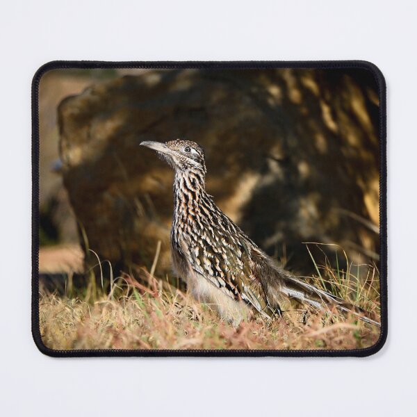 Item preview, Roadrunner designed and sold by jonesing.