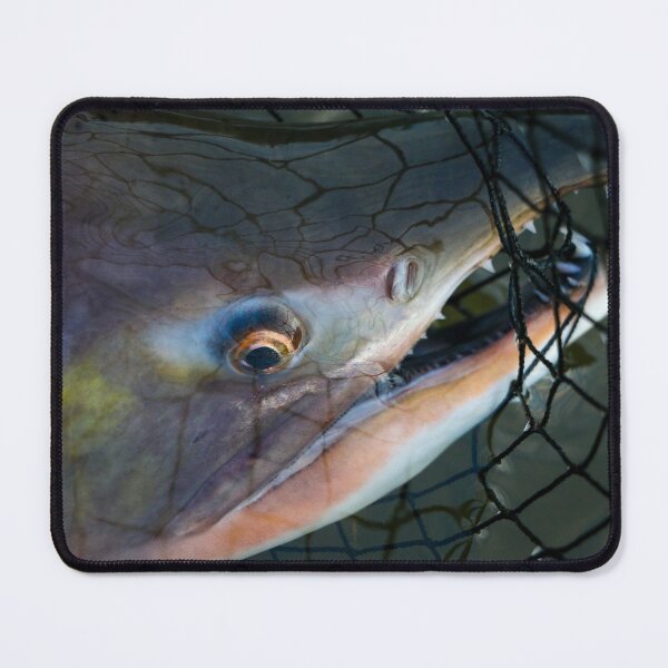 Item preview, Humpy Salmon designed and sold by jonesing.