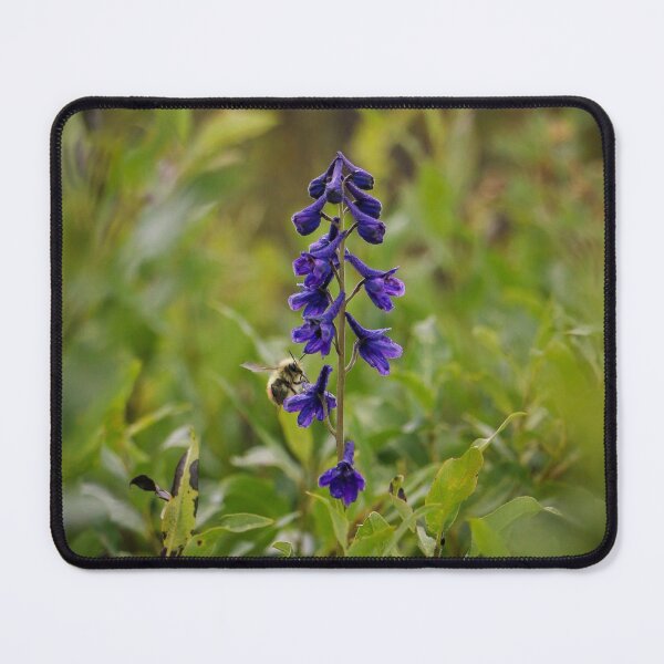 Item preview, Sierra Larkspur designed and sold by jonesing.
