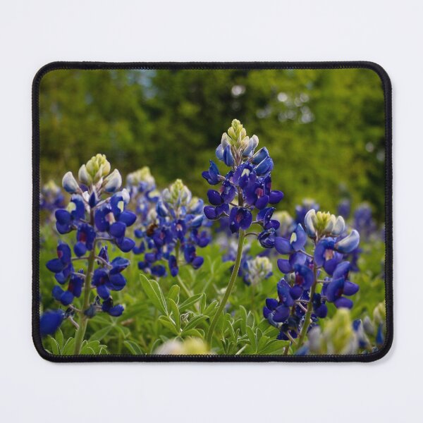 Item preview, Texas Bluebonnets designed and sold by jonesing.