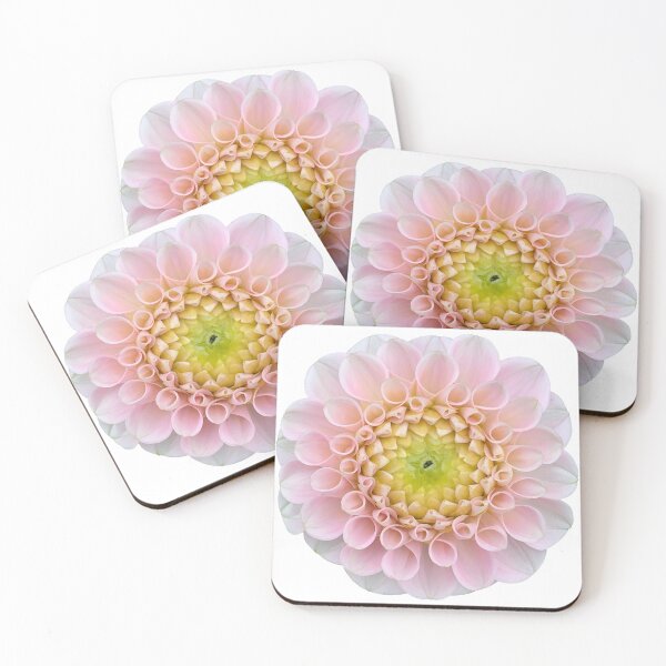 Item preview, Pink Dahlia Flower Still Life Floral Photography designed and sold by CottoVerdi.