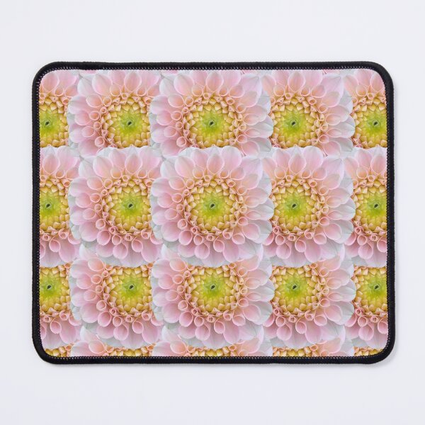 Item preview, Pink Dahlia Flower Still Life Floral Photography designed and sold by CottoVerdi.