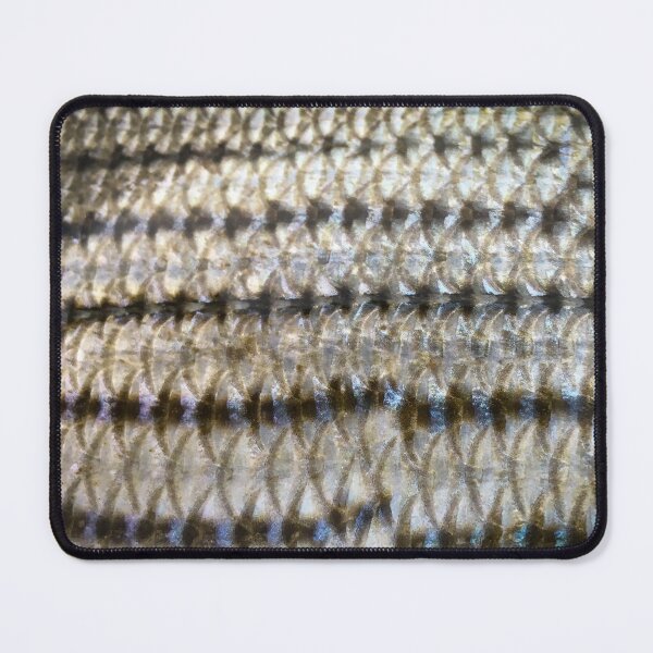 Item preview, Striper scales designed and sold by jonesing.