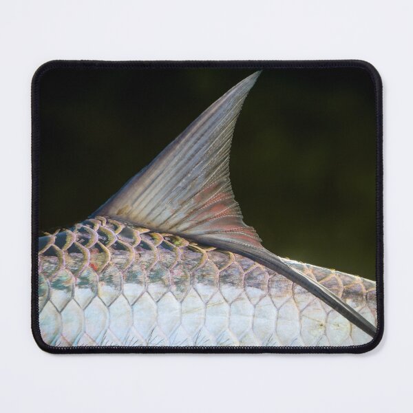 Item preview, Baby Tarpon designed and sold by jonesing.