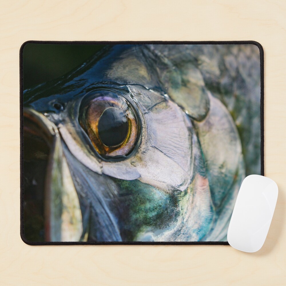  Fishing Lure Print Mouse Pad Non-Slip Rubber Base Gaming Mouse  Pad is for Computer Laptop Office : Office Products