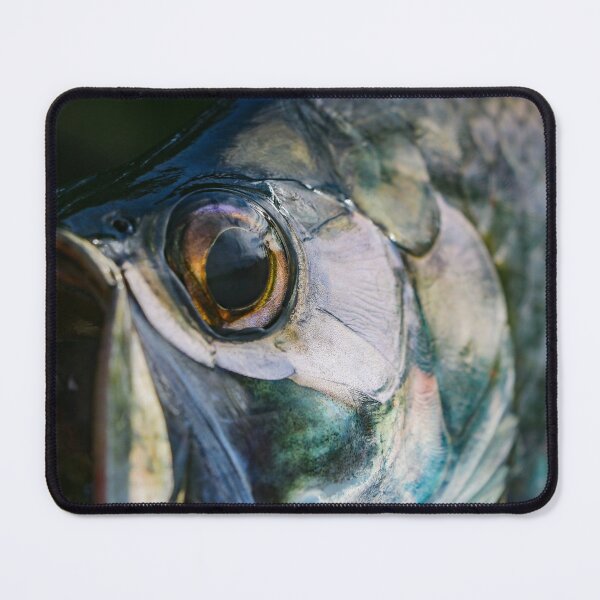 Fishing Computer Mouse Pad, Big Pike Fish Catching Wobblers Reel Trap in  River Raptorial Predator Hunting Print, Rectangle Non-Slip Rubber Mousepad  X-Large, 35 x 15, Black Blue, by Ambesonne 